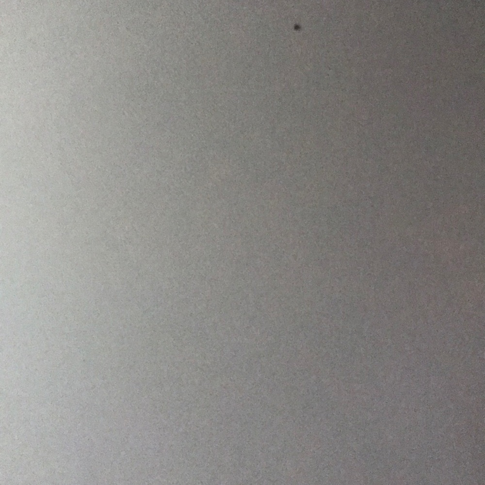 Meet your Posher, Bella